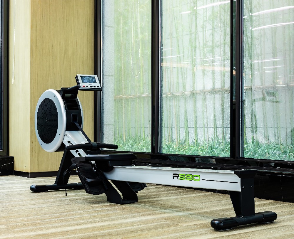 BH必艾奇 磁控/风阻划船器 R590 经典归来